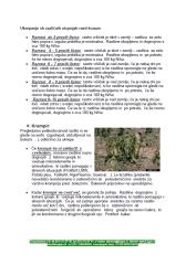 Ukrepi po poletnih neurjih na poljščinah 1